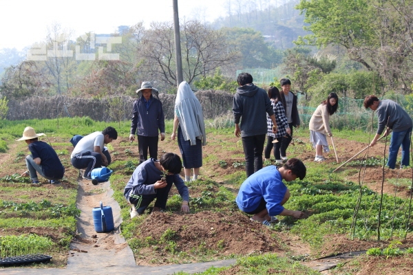 교육의 길을 묻다/대안학교 탐방 ②산마을고등학교