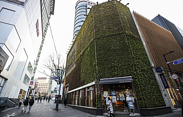 서울 중구 충무로1가 네이처리퍼블릭 부지(169.3㎡)의 모습. 사진=뉴시스 