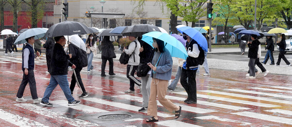 우산을 쓴 시민들. 사진=뉴시스