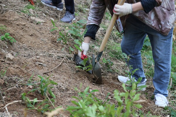 DL이앤씨 직원들이 서울 마포구 노을공원을 찾아 도토리 묘목을 심고 있다. 사진=DL이앤씨