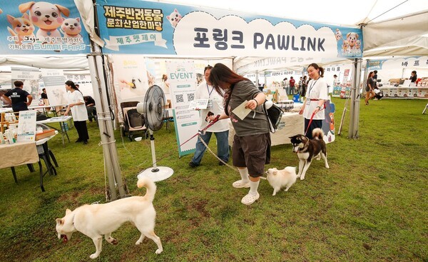 지난 12일 성숙한 반려동물 문화 확산 및 제주 반려동물 연관산업 활성화를 목적으로 열린 2025 제주 반려동물 문화산업 한마당'. 사진은 행사에 참여한 한 반려인이 반려동물들과 부스 인근을 지나는 모습. 사진=뉴시스