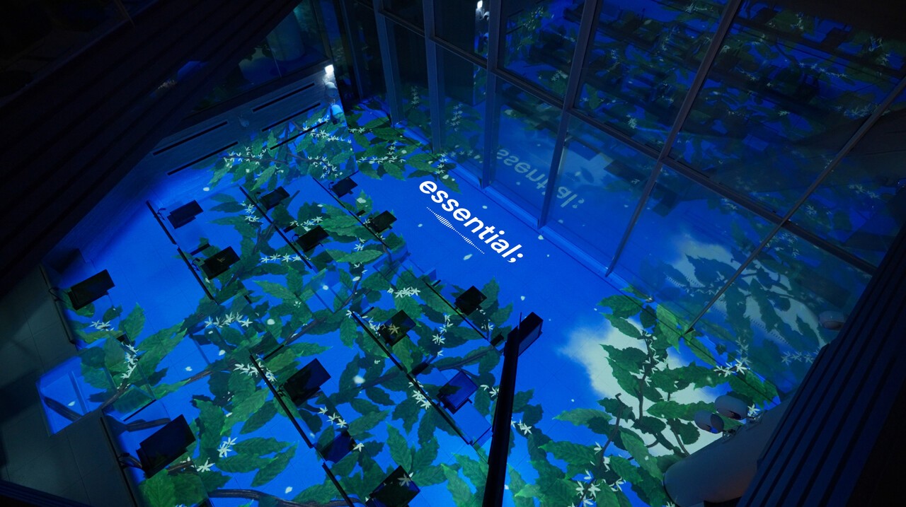 스타벅스 더춘천의암호R점 2층 SENSORY HALL에 구현된 NHN벅스 '에센셜(essential;)' 미디어 아트 전시 공간. 커피 열매가 자라고 로스팅·추출되는 과정을 감성적인 음악과 영상으로 표현해 관람객들에게 색다른 경험을 선사한다. 사진=NHN벅스