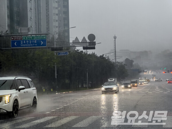 비가 내리는 도로는 수막현상으로 인해 제동거리가 길어진다. 와이퍼, 타이어, 브레이크 등의 점검 등을 통해 빗길 운전에 대비하는 것이 좋다. 사진=박윤미 기자