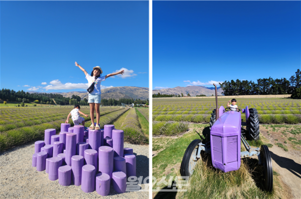 아이들이 즐길 수 있는 보라색 조형물들이 여기저기 만들어져 있다. 사진=윤노리 작가