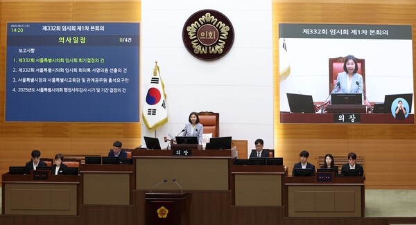 지난 제 제332회 임시회 제1차 본회 당시 개회식 선언 중인 최호정 의장. 사진=뉴시스