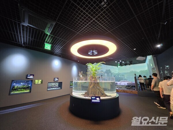 사진=윤성희 기자