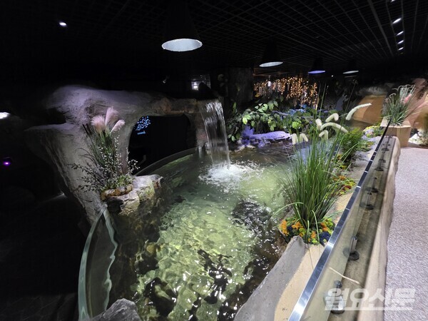 사진=윤성희 기자