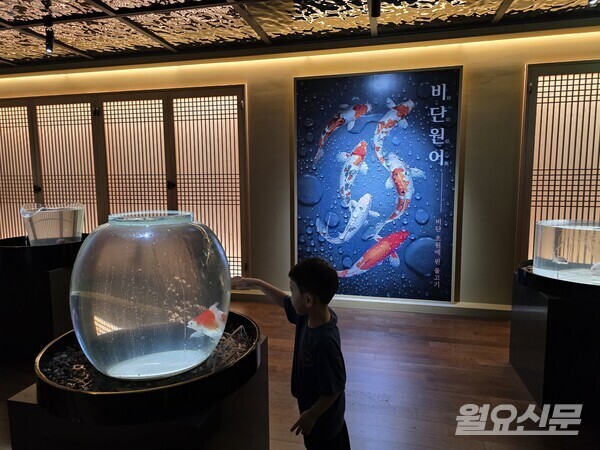 사진=윤성희 기자