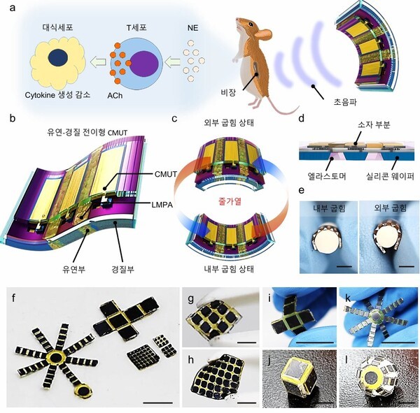  'Flex-to-rigid(FTR) CMUT'의 설계와 응용 그래픽이다. 사진=KAIST
