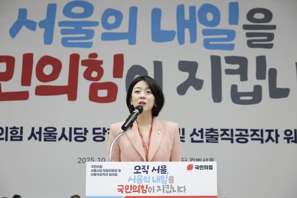 배현진 국민의힘 서울시당위원장. 사진=국민의힘