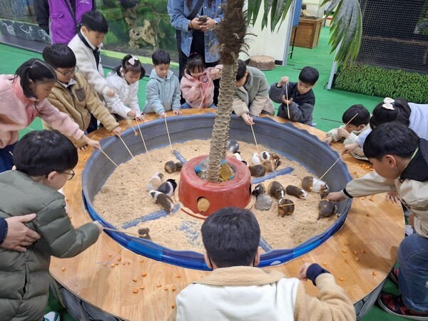 강원랜드가 지난 11~12일 동작구 소재 청운보육원 어린이들을 초청해 특별한 이벤트를 진행했다. 사진은 동물체험 중인 어린이들이다. 사진=강원랜드