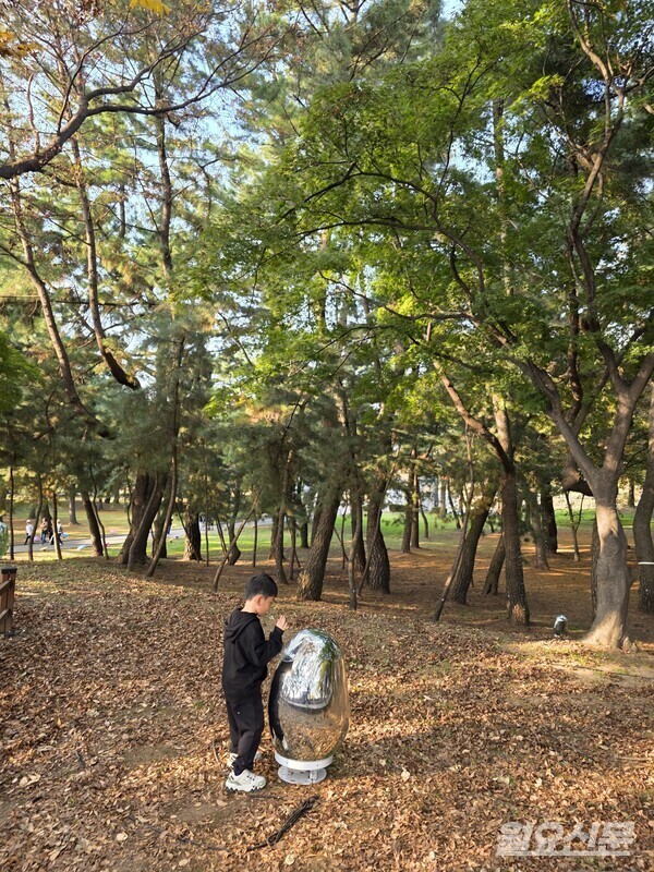 대릉원 산책길 주변에 설치되어있는 알 모양의 조명. 손을 대면 빛의 색이 변해 아이들의 흥미를 이끈다. 사진=윤성희 기자