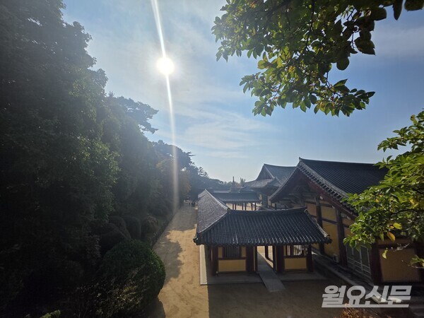 대웅전 뒤쪽에서 바라본 전경. 사진=윤성희 기자