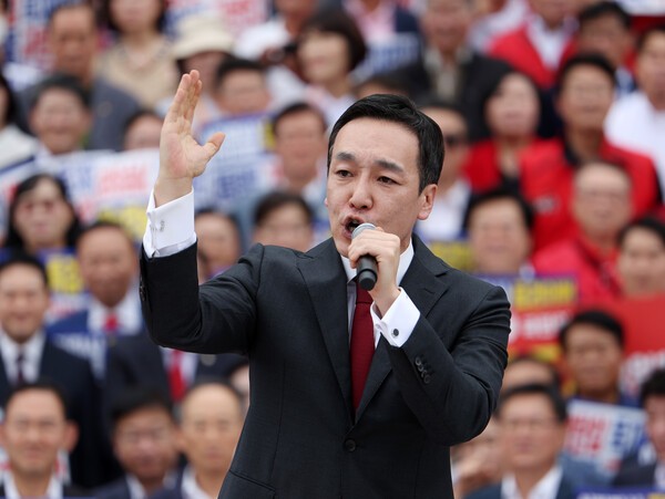 김민수 국민의힘 최고위원. 사진=뉴시스