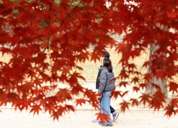 연인으로 보이는 남녀가 덕수궁을 산책하고 있다. 사진=뉴시스